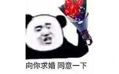 向你求婚同意一下