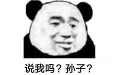 说我吗?孙子?(熊猫头怼人表情包)