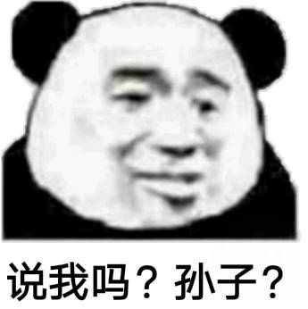 说我吗?孙子?(熊猫头怼人表情包)