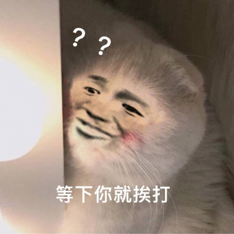 ??等下你就挨打