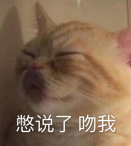 憋说了 吻我猫咪表情包