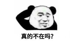 真的不在吗？（在吗九连表情包） - 一组【在吗九连】表情包