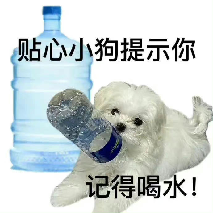 贴心小狗提示你记得喝水!