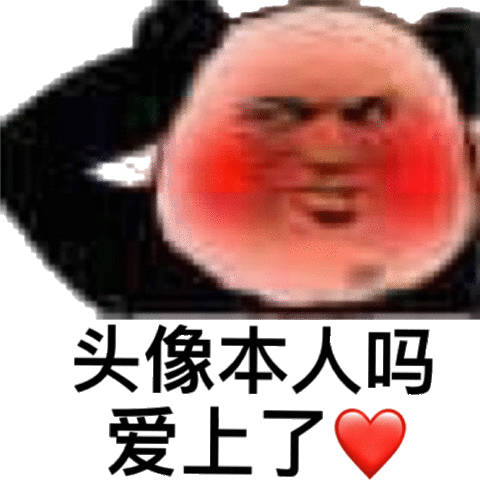 头像本人吗爱上了