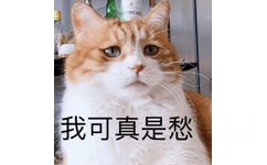 我可真是愁啊 - 一组橘猫表情包