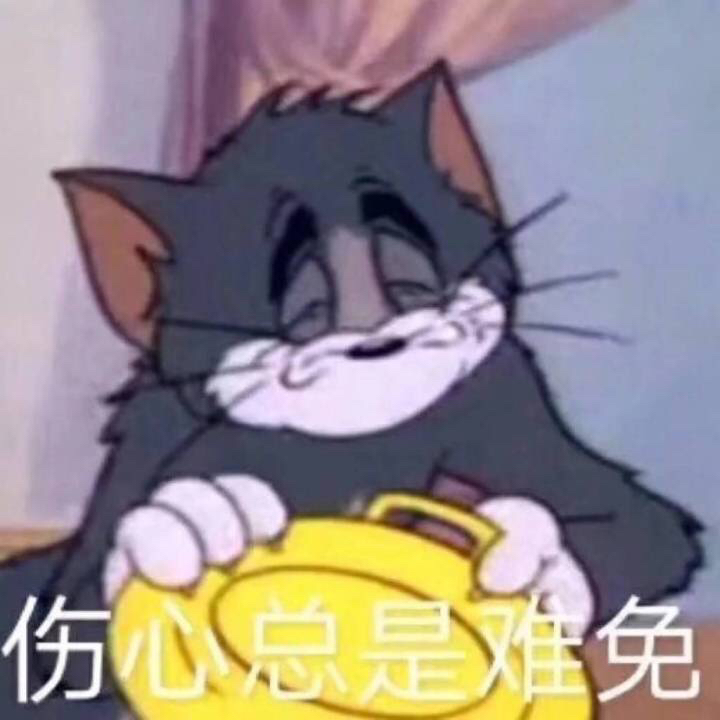 伤心总是难免（猫和老鼠）