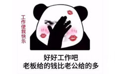 工作使我快乐好好工作吧老板给的钱比老公给的多