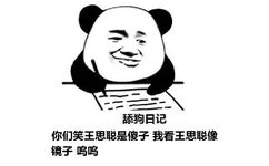 舔狗日记：你们笑王思聪是傻子 我看王思聪像镜子 呜呜