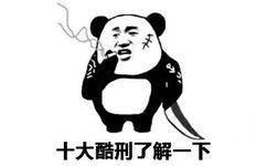 十大酷刑了解一下（熊猫头表情包）