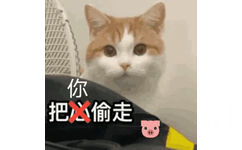 你把偷走(猪猪表情包)