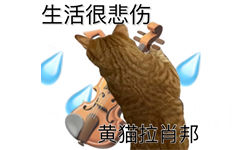 生活很悲伤黄猫拉肖邦 - 猫猫表情包