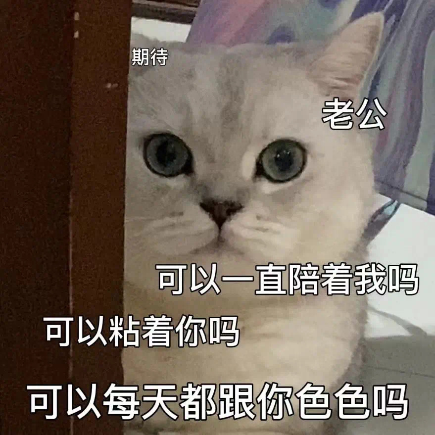 期待老公可以一直陪着我吗可以粘着你吗可以每天都跟你色色吗 - 猫猫涩涩表情包