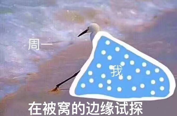 周在被窝的边缘试探 - 海鸥沙滩试探系列合集