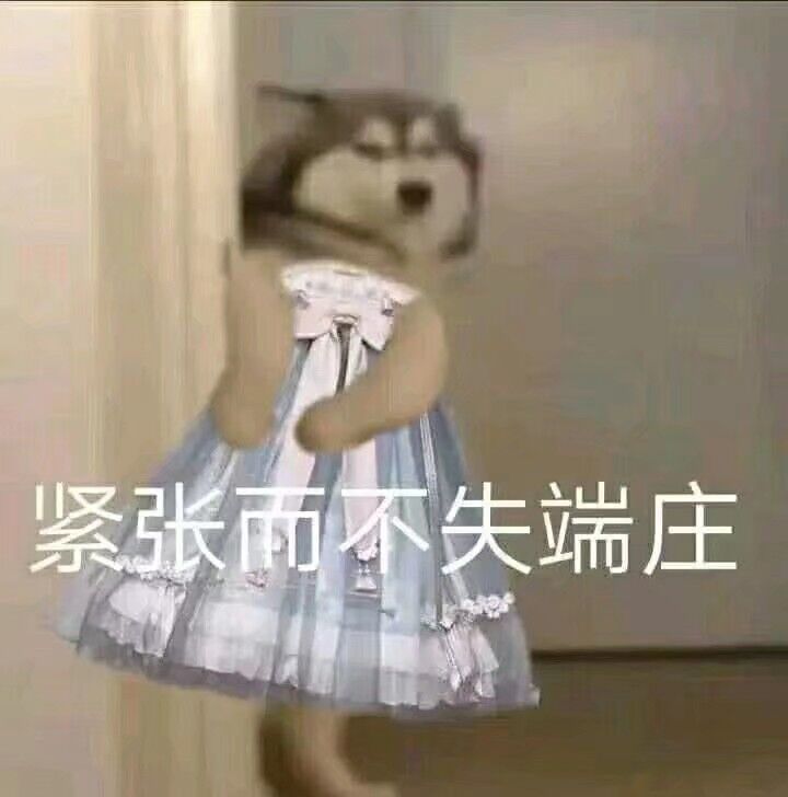 紧张面不失端庄(狗子)