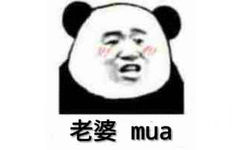 老婆mua(熊猫头)