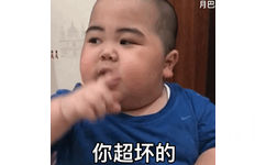 你超坏的（网红印尼小胖几BabyJrsugiantoTATAN）