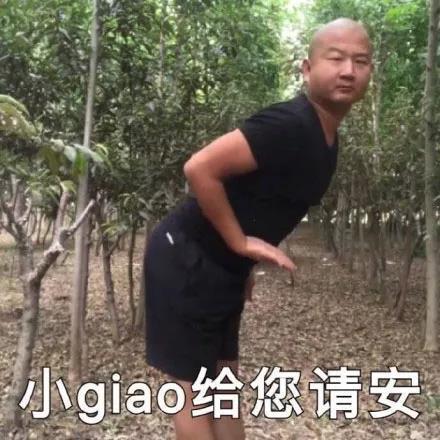 小giao给您请安 - giao哥表情包第三弹