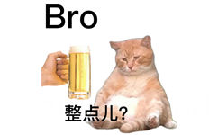 Bro 整点儿?(喝酒表情包)