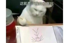 这就是我的极限吗(猫猫画画表情包)