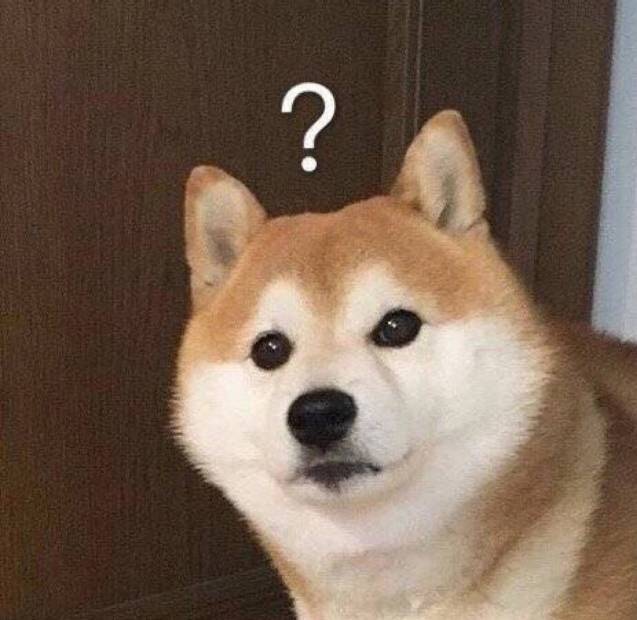 狗子柴犬 doge问号表情包