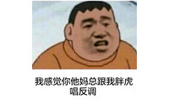 我感觉你他妈总跟我胖虎唱反调