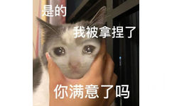 是的我被拿捏了你满意了吗(流泪猫猫头表情包)