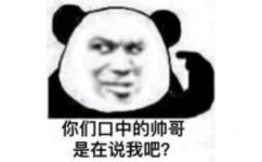 你们口中的帅哥是在说我吧?(熊猫头表情包)