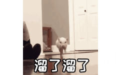 溜了溜了(猪猪快跑 GIF 动图)