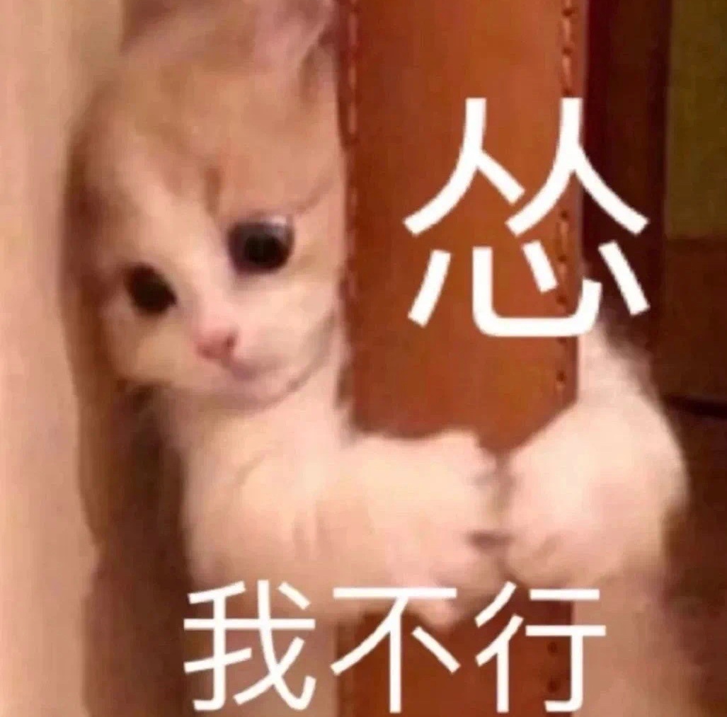 怂  我不行 猫咪表情包