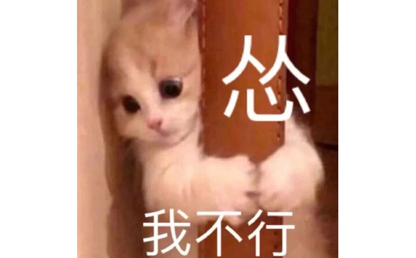 怂  我不行 猫咪表情包