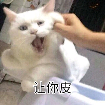 让你皮（掐猫咪）