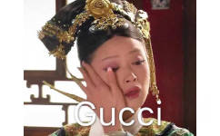 哭泣 Gucci（甄嬛传表情包） - 甄嬛传表情包系列