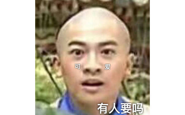 可爱 有人要吗（五阿哥 苏有朋）