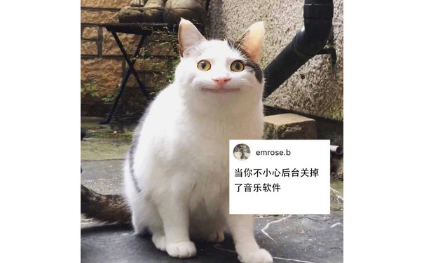 当你不小心后台关掉了音乐软件 - 尬笑猫咪表情包系列