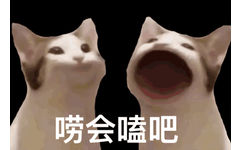 唠会嗑吧（POPO猫表情包） - POPO猫 GIF 动图表情包