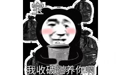 宝我收破烂养你啊 - 一些很欠打的熊猫头表情包