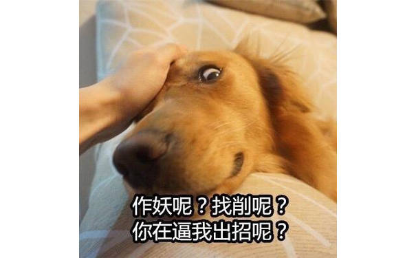 作妖呢？找削呢？你在逼我出招呢？