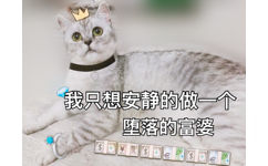 我只想安静的做一个堕落的富婆 - 一组猫咪表情包