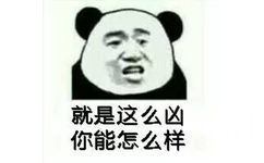 就是这么凶，你能怎么样我啊（熊猫人）