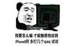 我要怎么编，才能魅惑他给我 iphone8啊 多打几个 qaq 试试 - 熊猫头斗图表情包精选