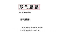 莎气藤藤sha qi teng teng 莎气藤藤形容孙颖莎对战伊藤美成时把对方摁在地上打的气势。