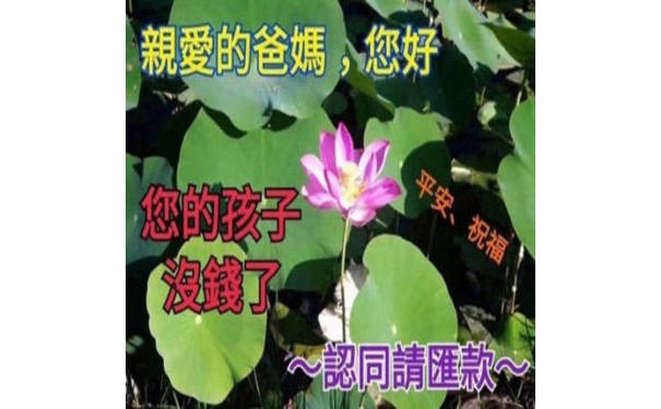 亲爱的爸妈，您好，您的孩子没钱了，认同请汇款！祝父母平安 - 来一波【要钱】表情包，拿着去讨生活费吧