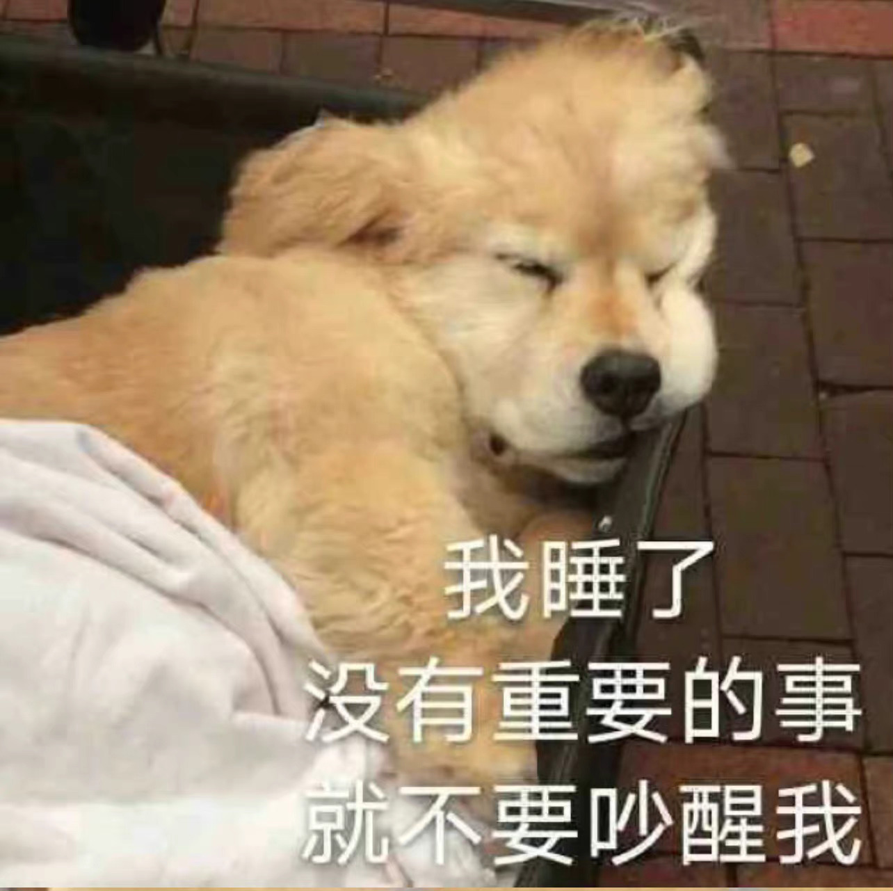 我睡了没有重要的事就不要吵醒我