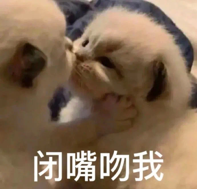 闭嘴吻我