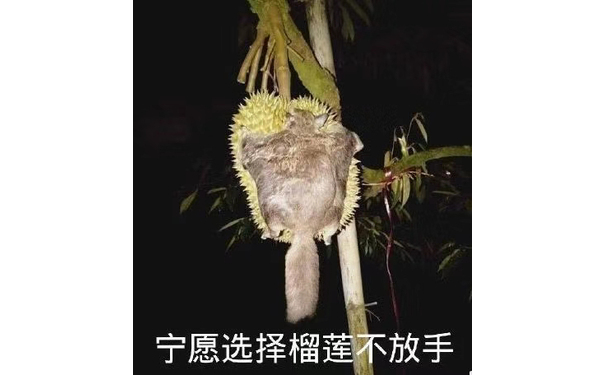 宁愿选择榴莲不放手