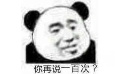 你再说一百次？（熊猫头表情包）