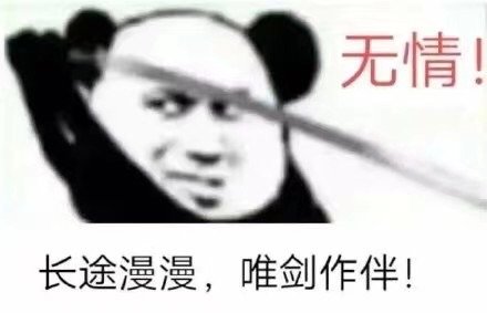 无情！长途漫漫，唯剑作伴！