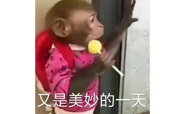 又是美妙的一天