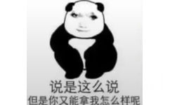 说是这么说但是你又能拿我怎么样呢