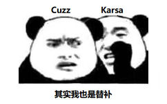 CuUzzKarsa其实我也是替补 - RNG 牛逼